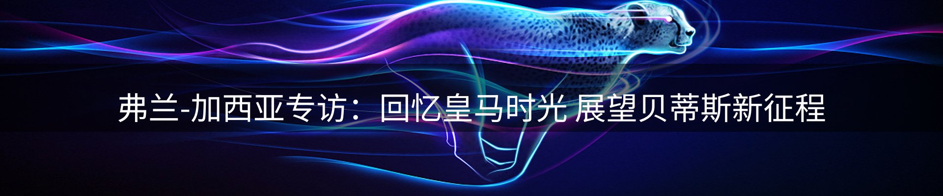 网站快讯