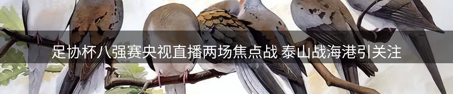 网站快讯